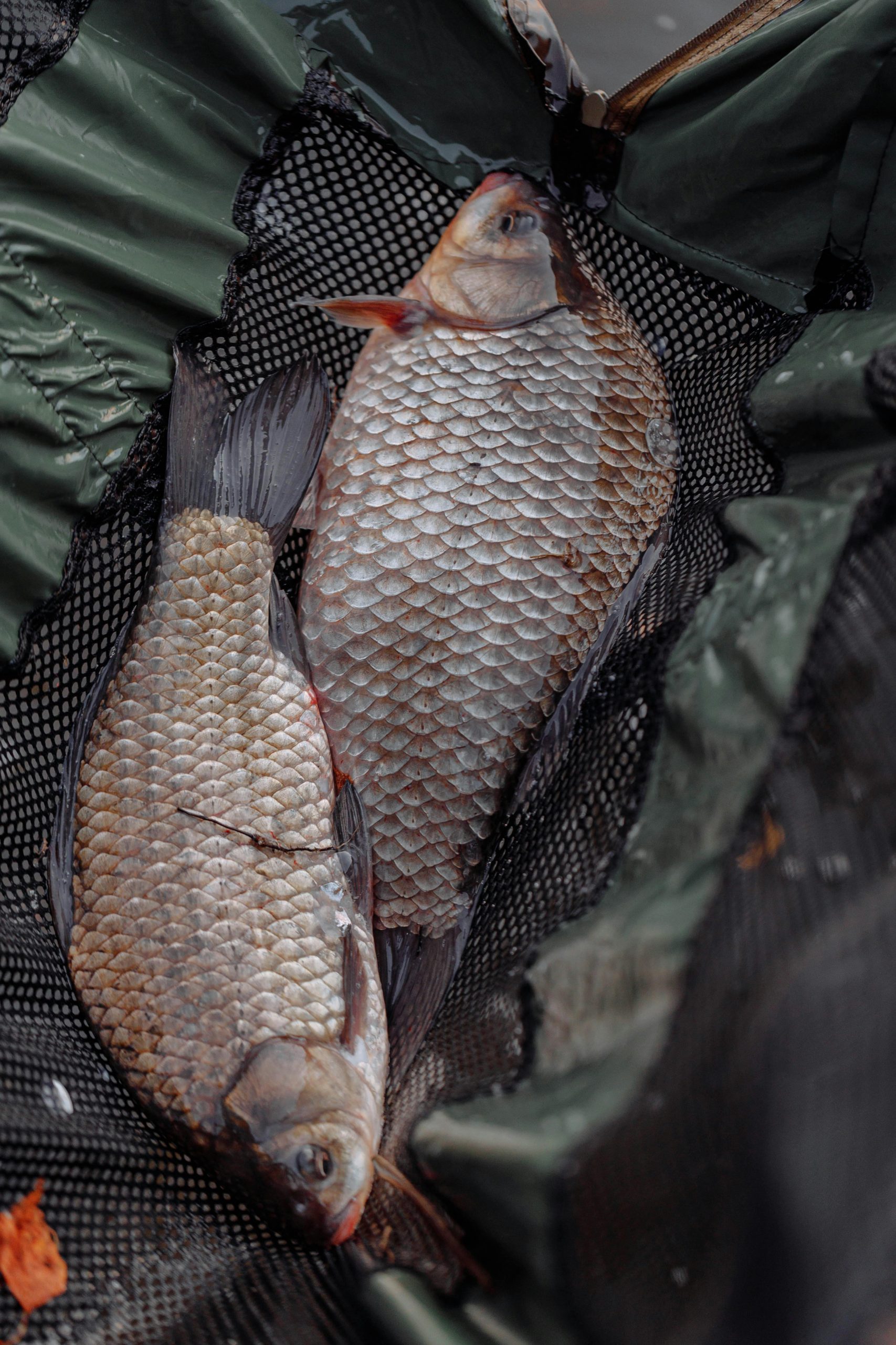 How to Maintain Your Fly Fishing Bag for Longevity